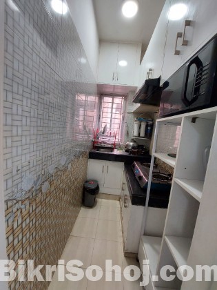 Two BHK Serviced Apartment for Short or Long-Term Rent